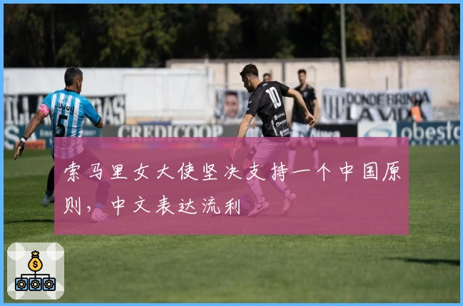 索马里女大使坚决支持一个中国原则，中文表达流利